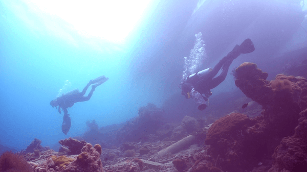 Melihat Lebih Luas Dunia Menyelam yang Tidak Hanya Itu-itu Saja